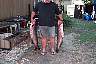 bigfish04.jpg