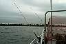 shortstay13.jpg