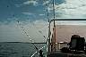 shortstay27.jpg